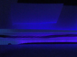 First fluorescence test...